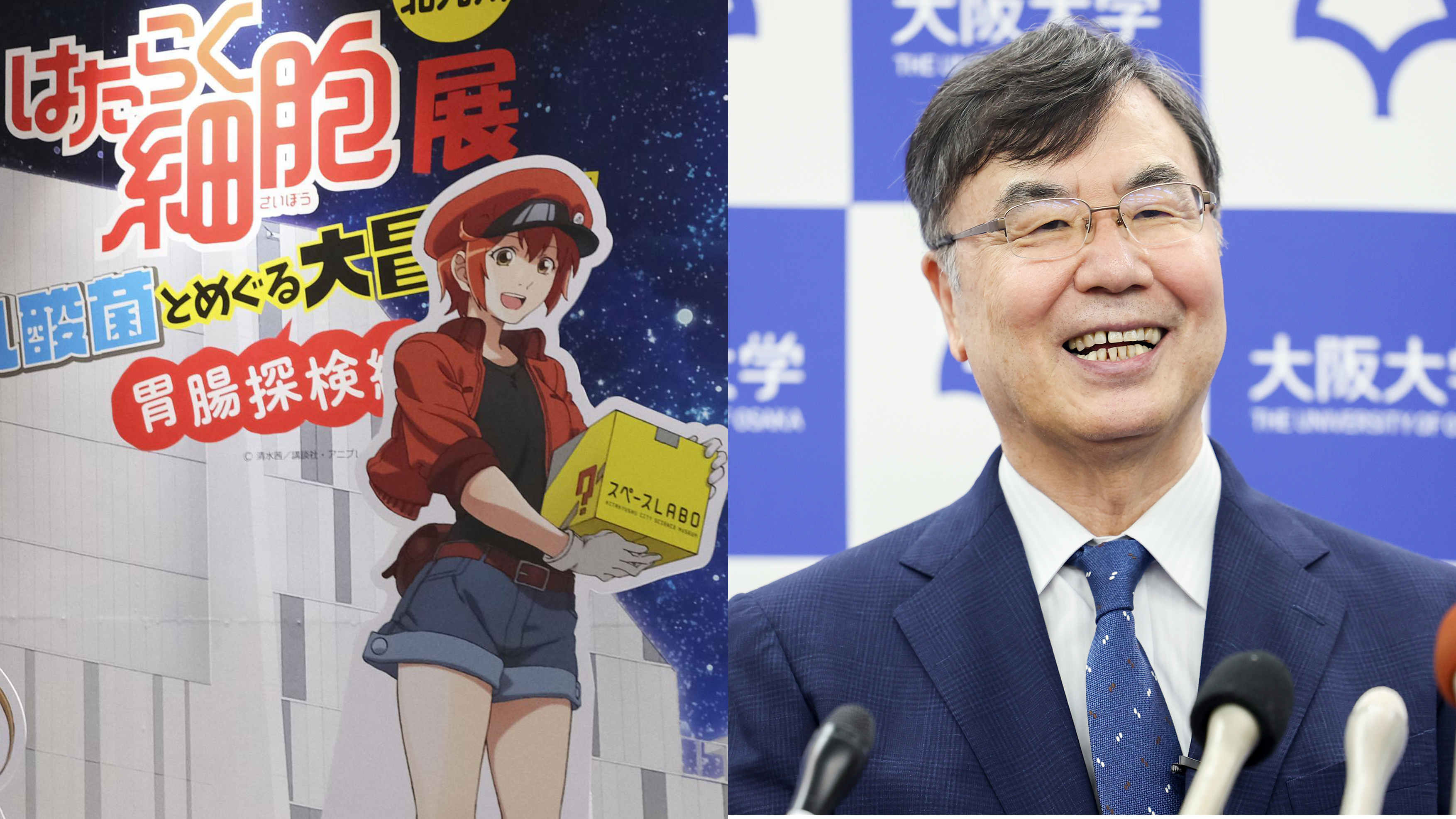 Japan's NHK to reduce satellite TV and radio channels Nikkei Asia