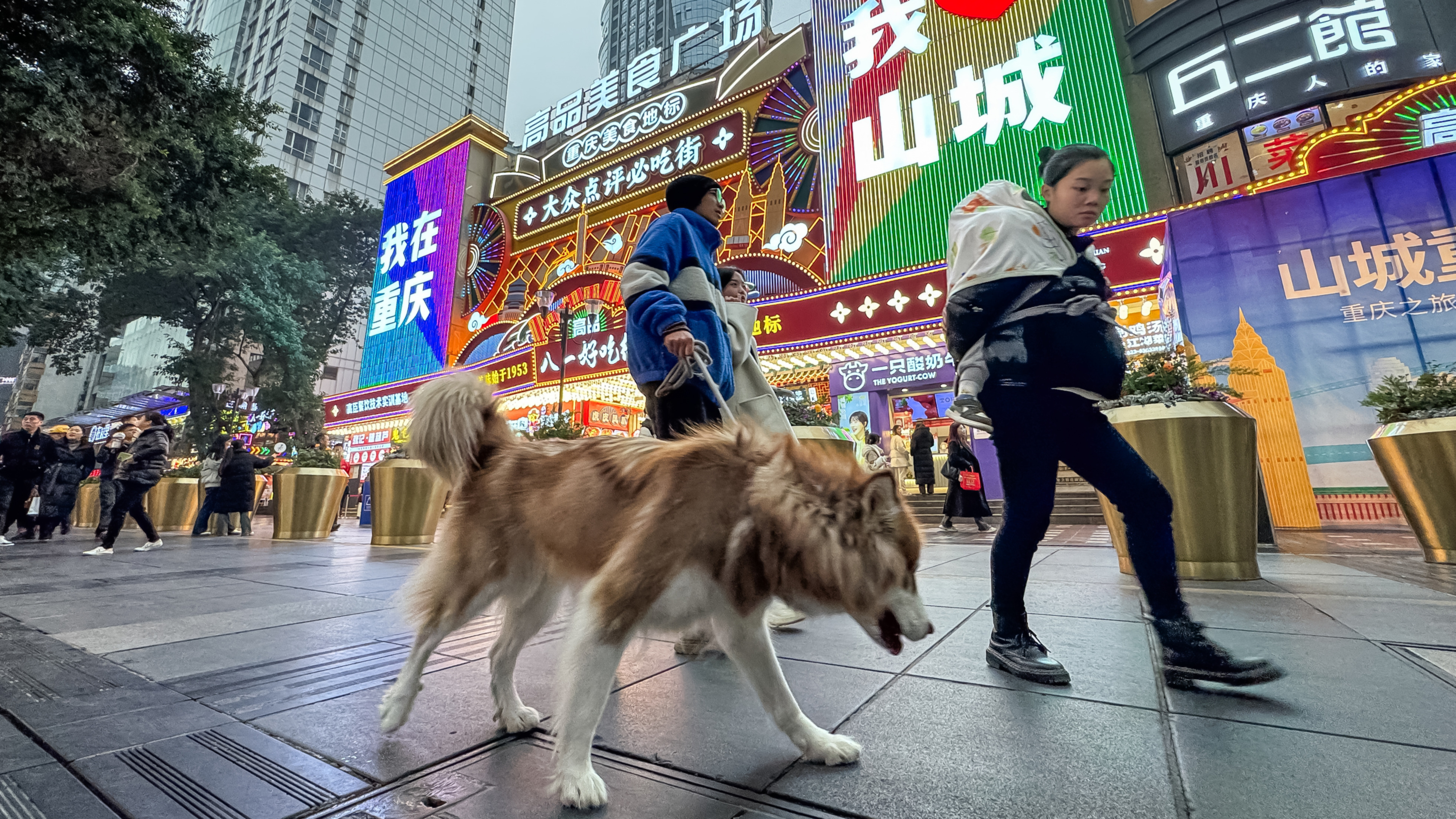 Rare protest over animal abuse spotlights China