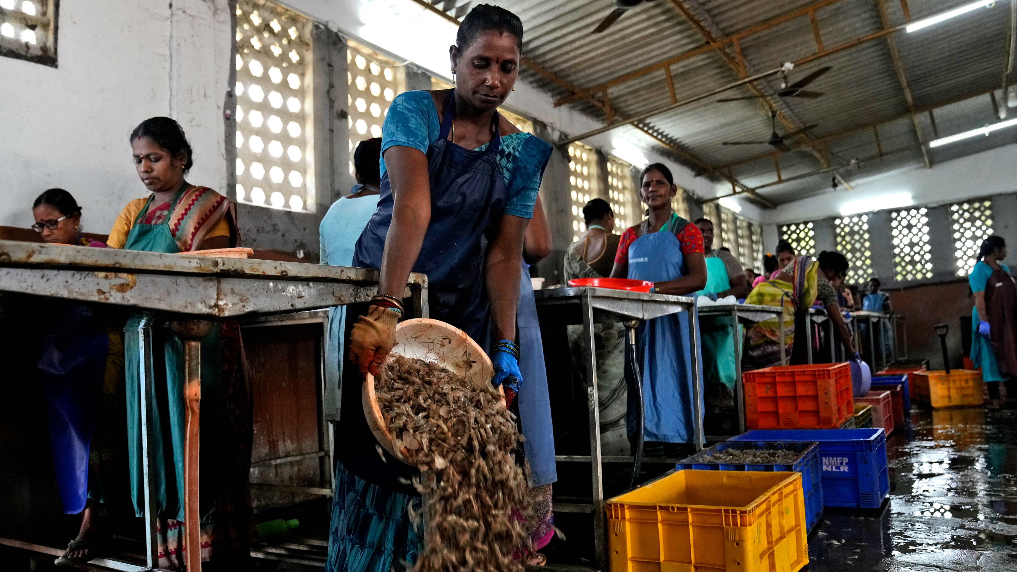 India to raise seafood exports with aid, lower duties on inputs