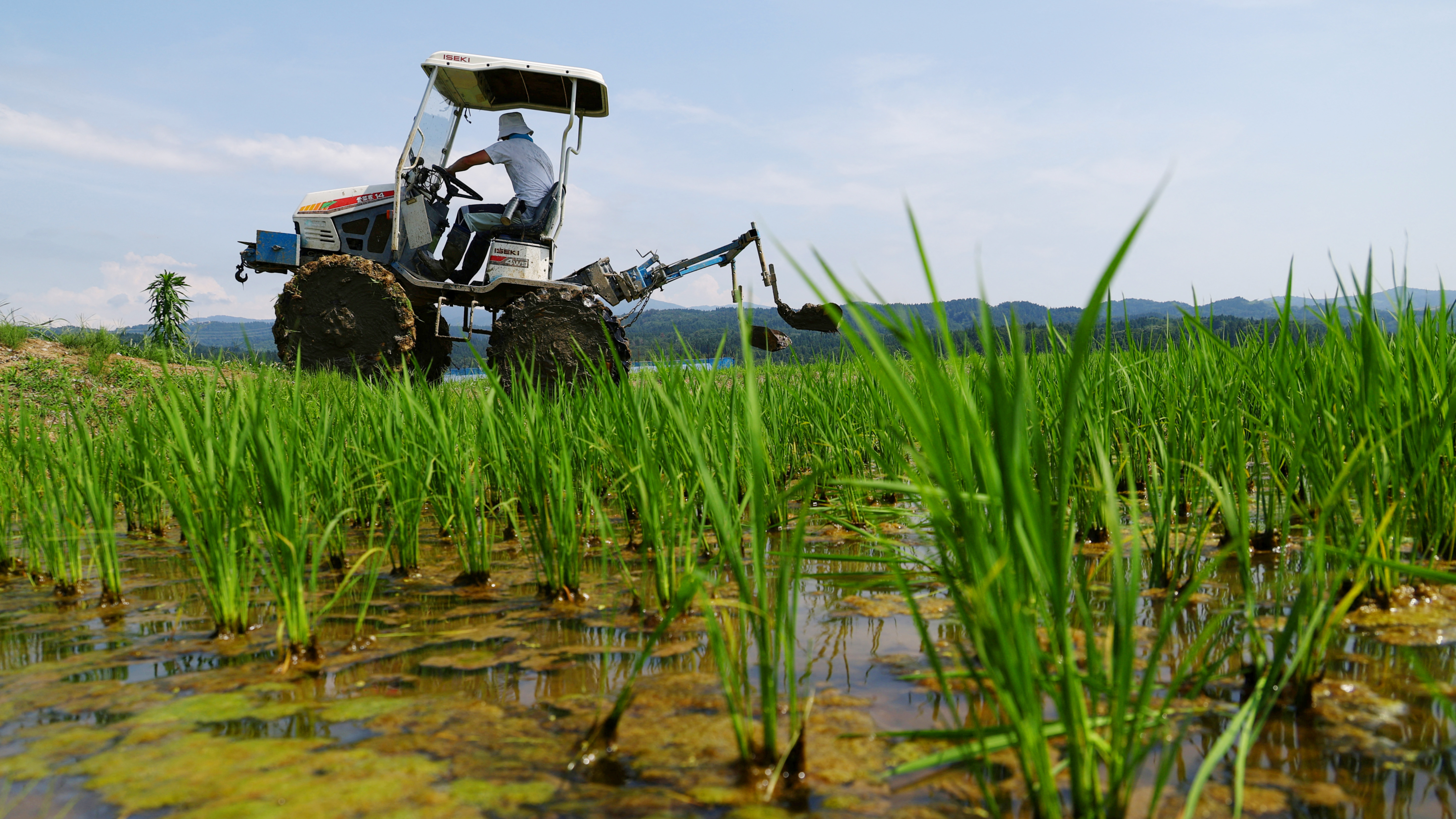 Fertilizer prices spike on Iran war as experts say worse crunch may come - Nikkei Asia