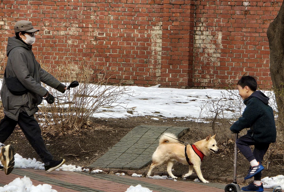 Time to take dog meat off the table Nikkei Asia