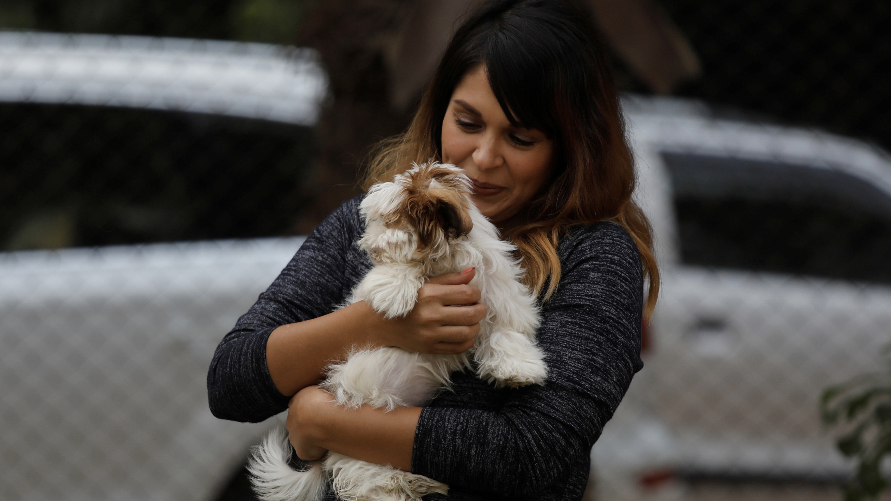 Aspirational millennials give Indian dogs a luxury upgrade