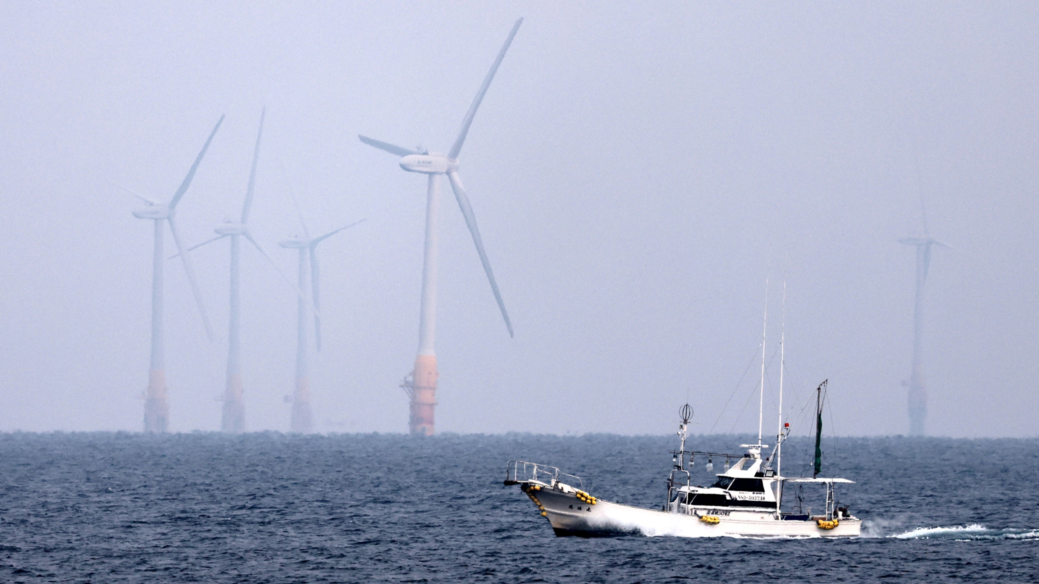 Japanese engineering slashes cost of building floating wind farms