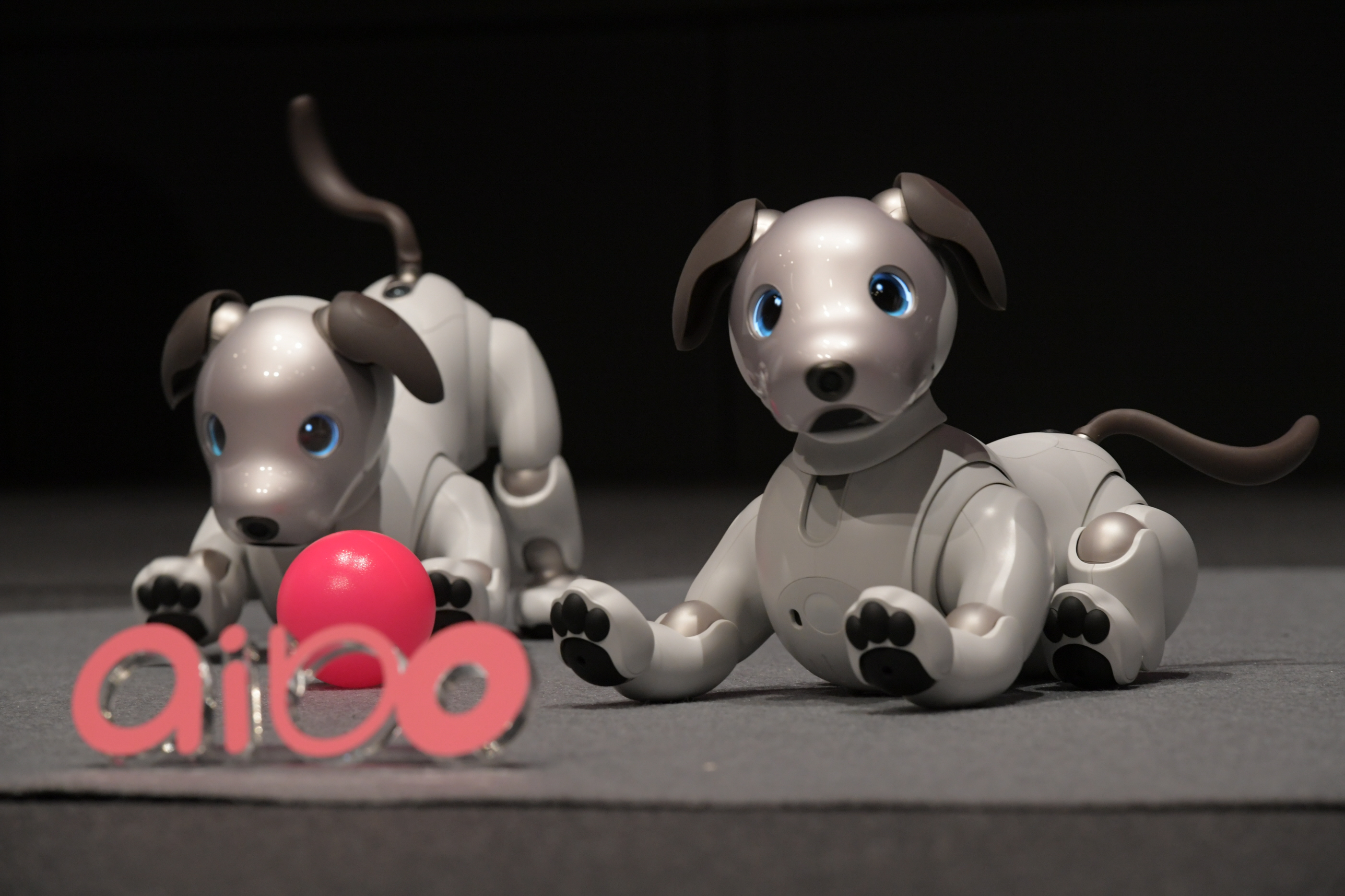 その他 SONY AIBO Sony's aibo robot is back, ready to learn new tricks