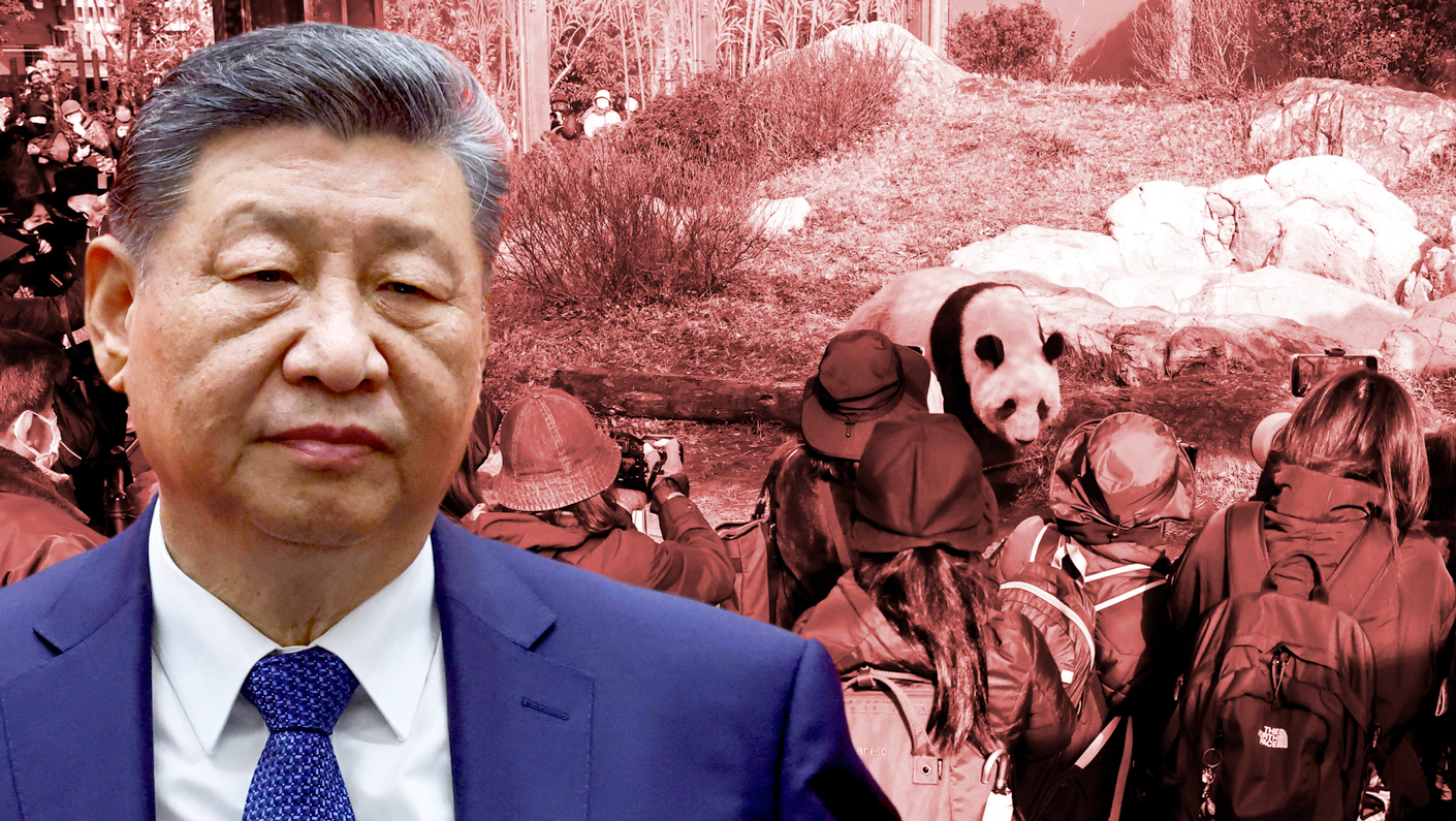 Analysis: China's panda diplomacy was not pioneered by the