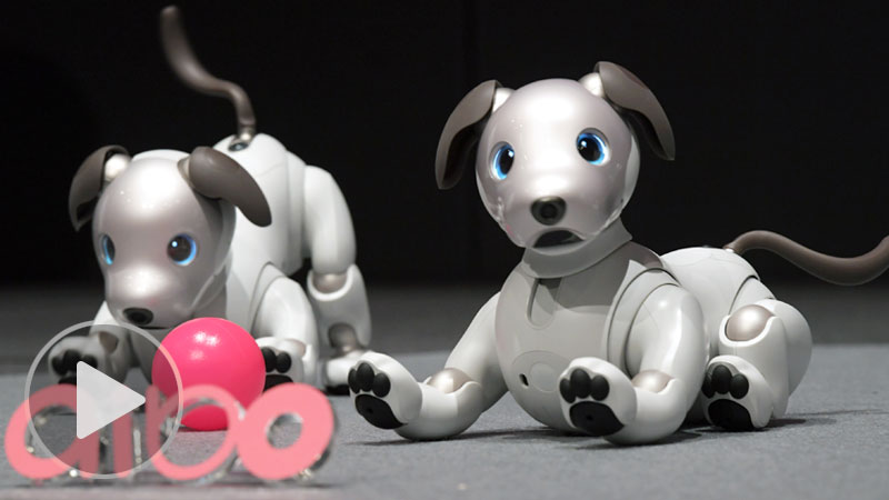 その他 SONY - aibo SONY ERS-7 Entertainment Robot AIBO Dog-shaped Pet Robot