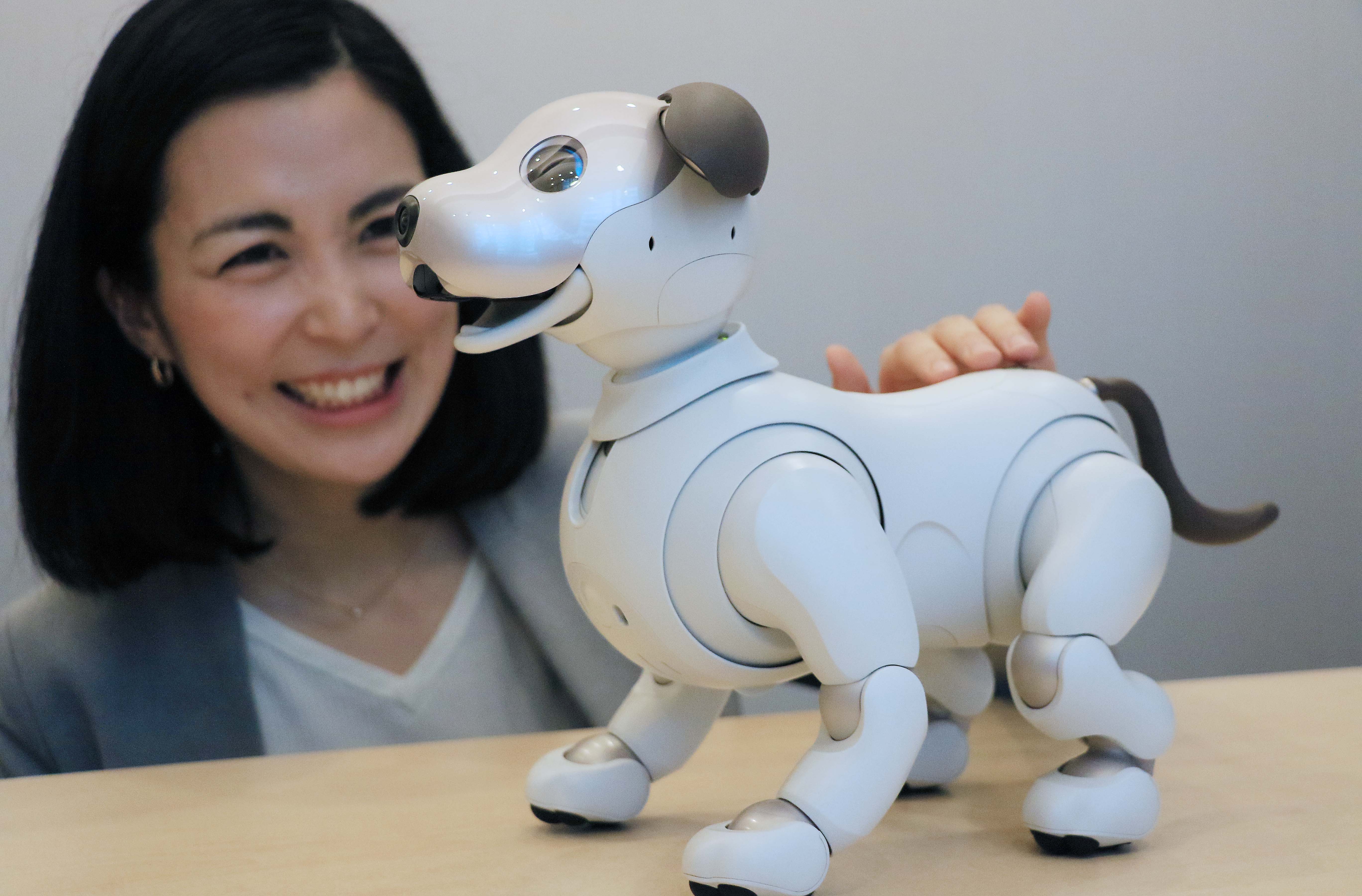 Sony gives a sneak peek of aibo, its new robotic dog - Nikkei Asia